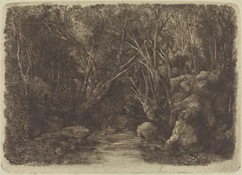 El arroyo en el bosque