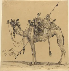 El camello