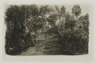El arroyo