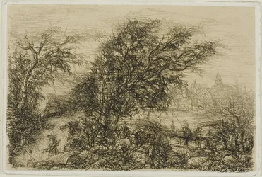 Árboles doblados por el viento