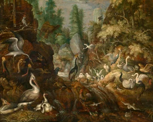 Paraíso de las aves