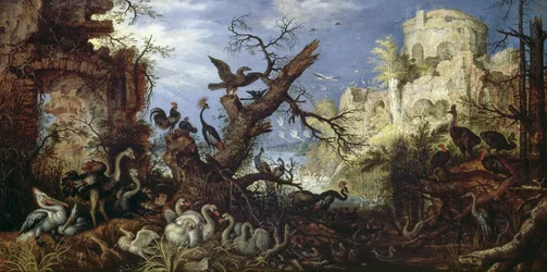 Paisaje con aves