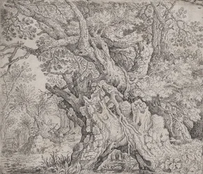 Árbol retorcido