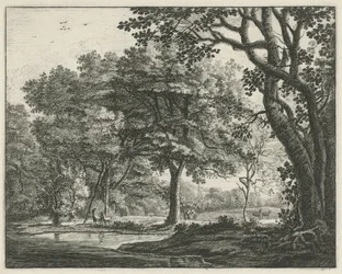 Ciervo en el Bosque de La Haya Rostros en Haagse Bos (título de la serie)