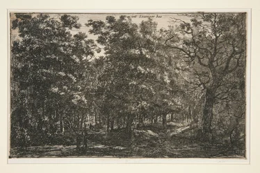 Int. Seuniger Bos