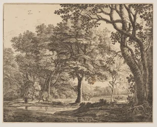 Lámina. 6, de Seis vistas en el bosque de La Haya