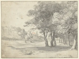 Ver en Haagse Bos, con Grote Kerk, La Haya, en la distancia