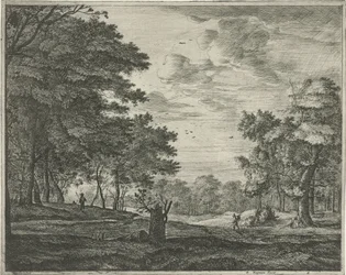 Caminante en el Haagse Bos
