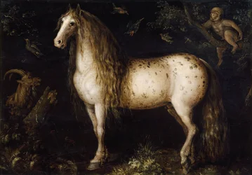 El gris moteado, c. 1625-1630
