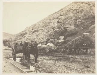 Ganado y carros, saliendo de Balaklava
