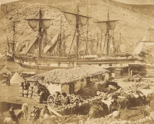 Puerto de Balaclava, el muelle de ganado