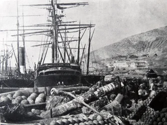 El Muelle de Artillería, Balaclava