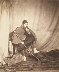 Zuavo, 2.ª división