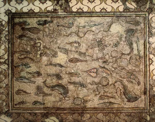 Arte romano: mosaico de peces. Principios del siglo III. Tarragona. Museo Arqueológico Nacional.