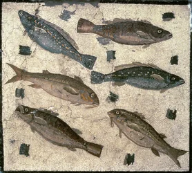 Peces (mosaico)