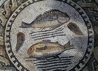 Peces, mosaico en la ciudad romana de Volubilis (Lista del Patrimonio Mundial de la UNESCO)