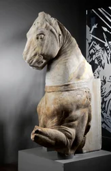 Parte frontal de un caballo