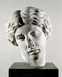 Cabeza de una amazona (escultura de mármol, siglo II d.C.)