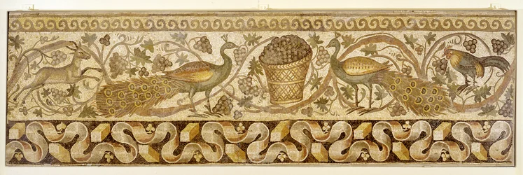 Mosaico de una cenefa de roleos de vid con pavos reales, Antioquía, 526-540