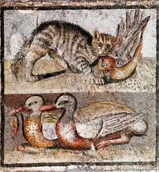 Arte romano: mosaico que representa un gato salvaje cazando una perdiz y dos patos. 200-150 a.C. Roma, Museo Nazionale Romano