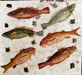 Arte romano: mosaico que representa peces. Siglo I a. C. Roma, Museo Nazionale Romano, Italia