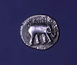 Moneda de plata que representa un elefante, animal fetiche de los Escipiones. Lucius Caecilius Metellus capturó los elefantes cartagineses en 251 a.C. 47-46 a.C.