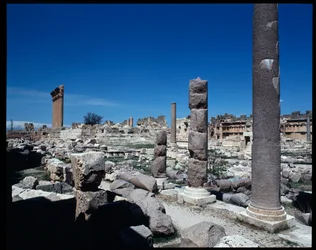 Las seis columnas del Templo de Júpiter