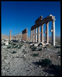 Vista de los restos de Palmira