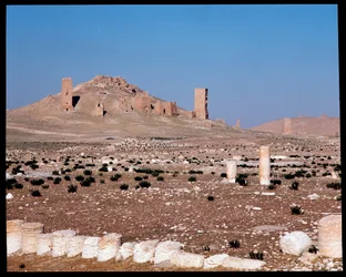 Vista de las tumbas torre de Iamblichus y Elahbel
