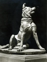 Perro Bull Mastif
