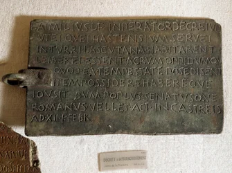 Decreto de franqueo en latín sobre placa de bronce: fue promulgado el 21 de enero