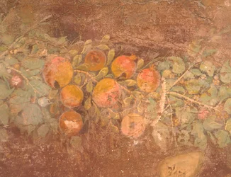 Detalle del fresco con decoración de flores y frutas de la Villa romana de Boscoreale (Nápoles), Civilización romana