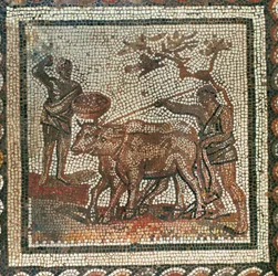 Arar y sembrar. Mosaico (mosaic)