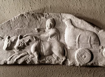 Arte romano: tanque de bueyes tallado, Museo de Antigüedades Romanas, Roma