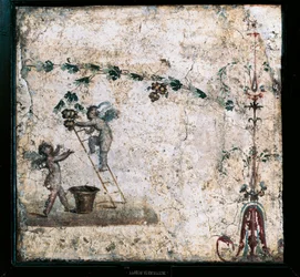 Fresco del tercer estilo que representa a Cupidos vendimiando, de la Casa de Marco Lucrecio en Pompeya
