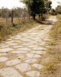 Via Flaminia, Roma