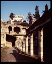 Vista de la palestra