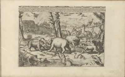 Aziatische en Afrikaanse dieren Aziatische en Afrikaanse dieren / Animales de Asia y África (título sobre el objeto) Las Indias Orientales y Occidentales y otros lugares (título de la serie)