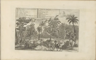 Bomen en specerijen Plantas indias, etc. / Indiaensche kruyden, etc. (título sobre el objeto) Las Indias Orientales y Occidentales y otros lugares (título de la serie)