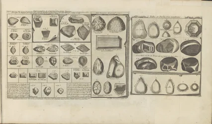 Diamanten, robijnen in parels Representación de veinte de los diamantes más hermosos / Afbeeldinge van 20 der schoonste diamanten // Ocho diamantes de gran precio // Excelentes rubíes y perlas (título sobre el objeto) Las Indias Orientales y Occidentales y