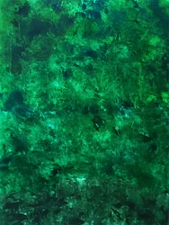 Textura verde exuberante