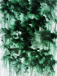 Bosque verde brumoso