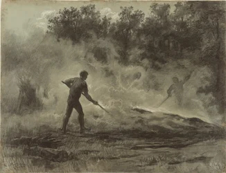 Carboneros