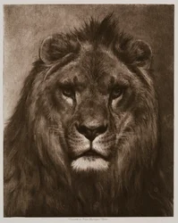 León