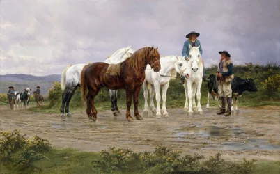 Mercado de agricultores de los Pirineos