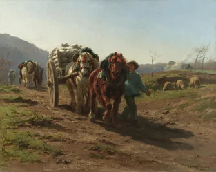 Campos de retorno