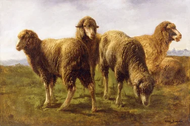 Ovejas pastando en un prado