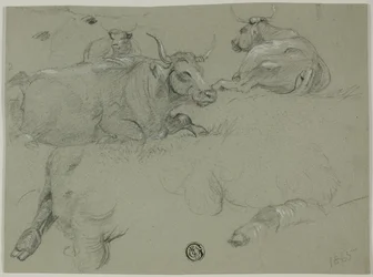 Bocetos de vacas