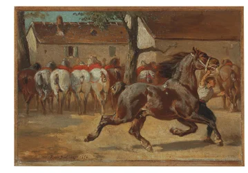 Caballo trotando