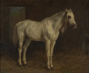 Caballo blanco